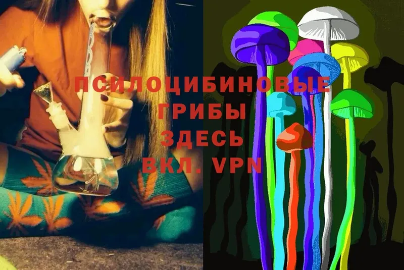 наркота  Бузулук  Галлюциногенные грибы Magic Shrooms 